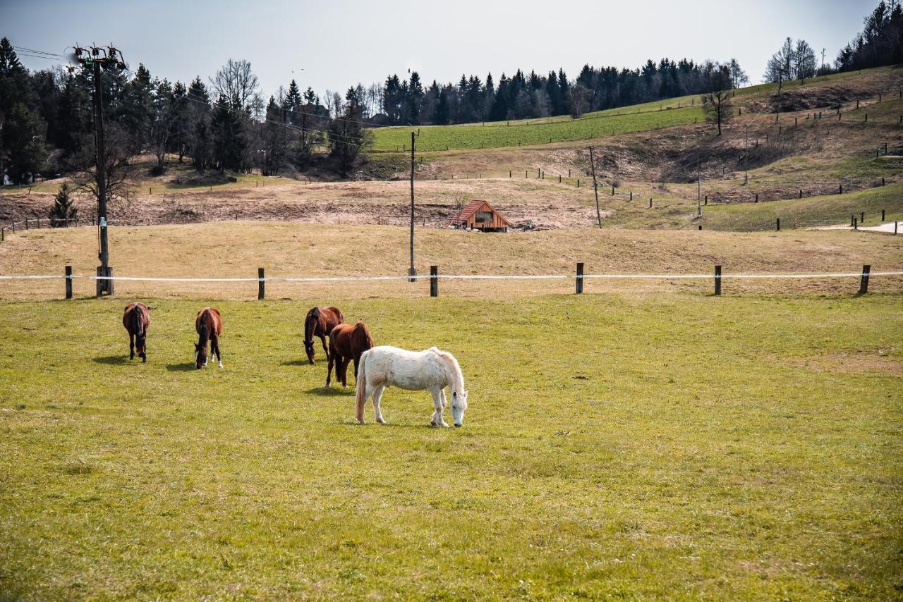 Farm Stay Ana Visnja Gora Esterno foto
