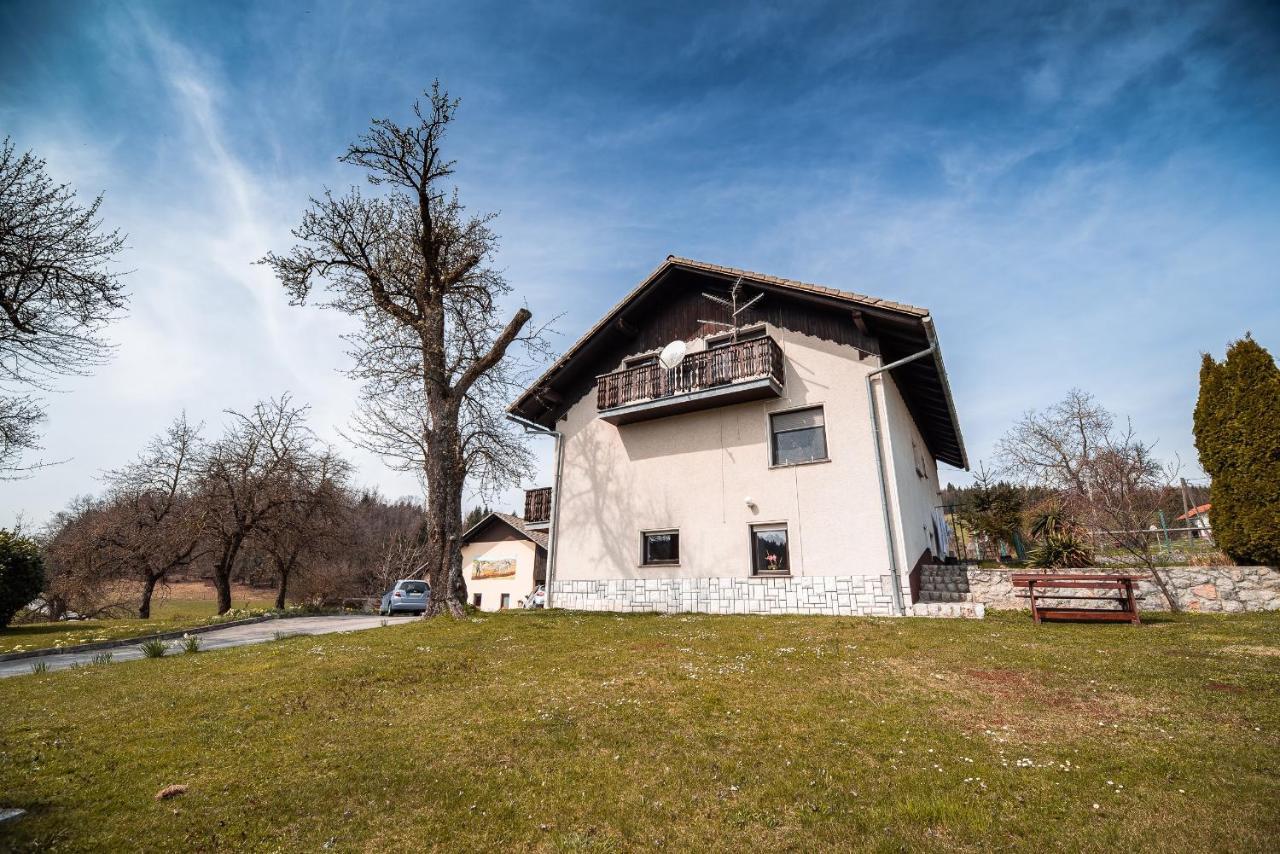 Farm Stay Ana Visnja Gora Esterno foto