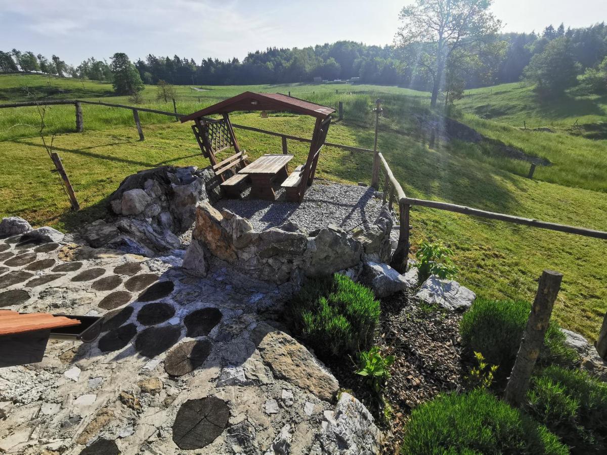 Farm Stay Ana Visnja Gora Esterno foto