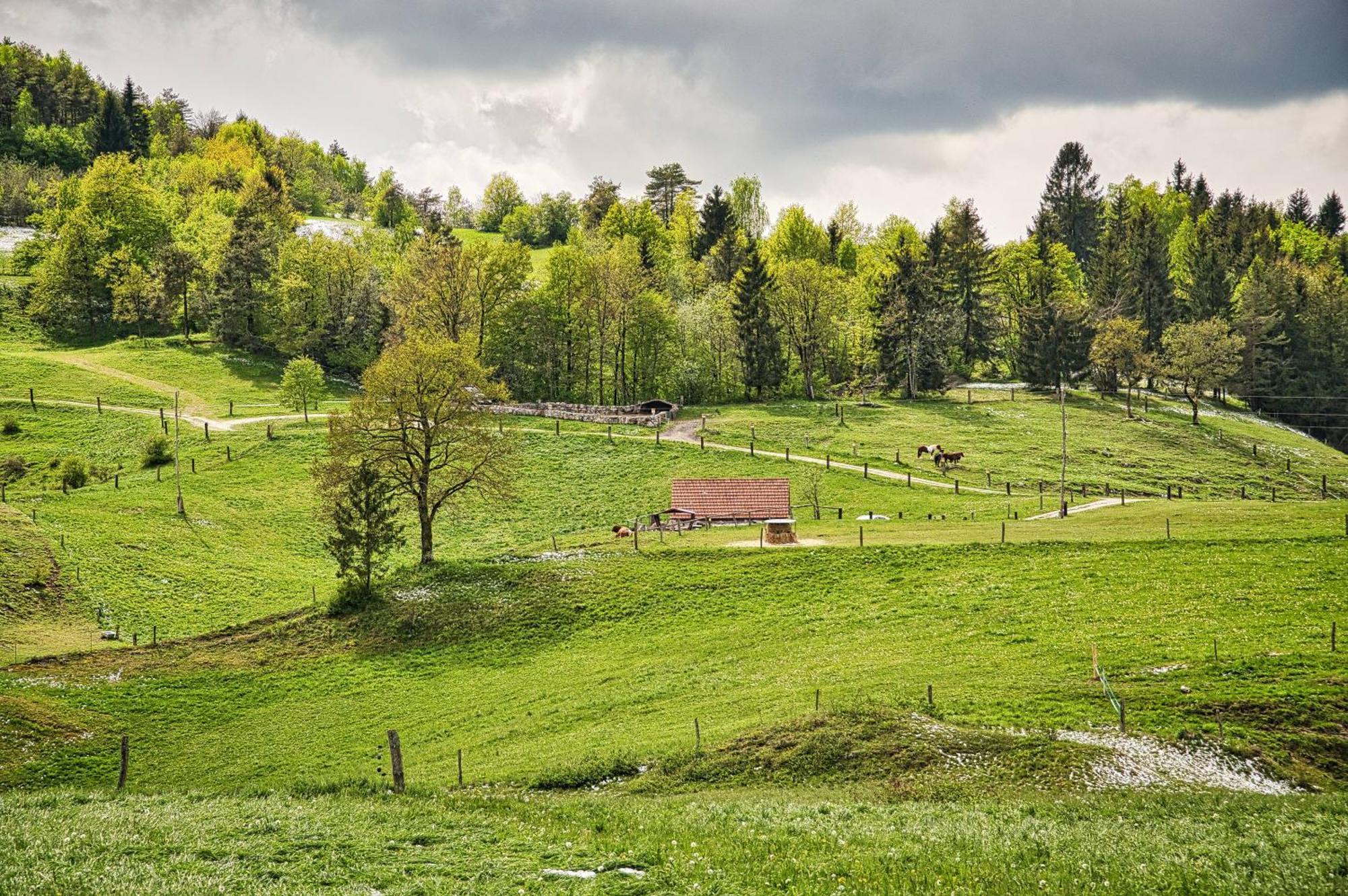 Farm Stay Ana Visnja Gora Esterno foto