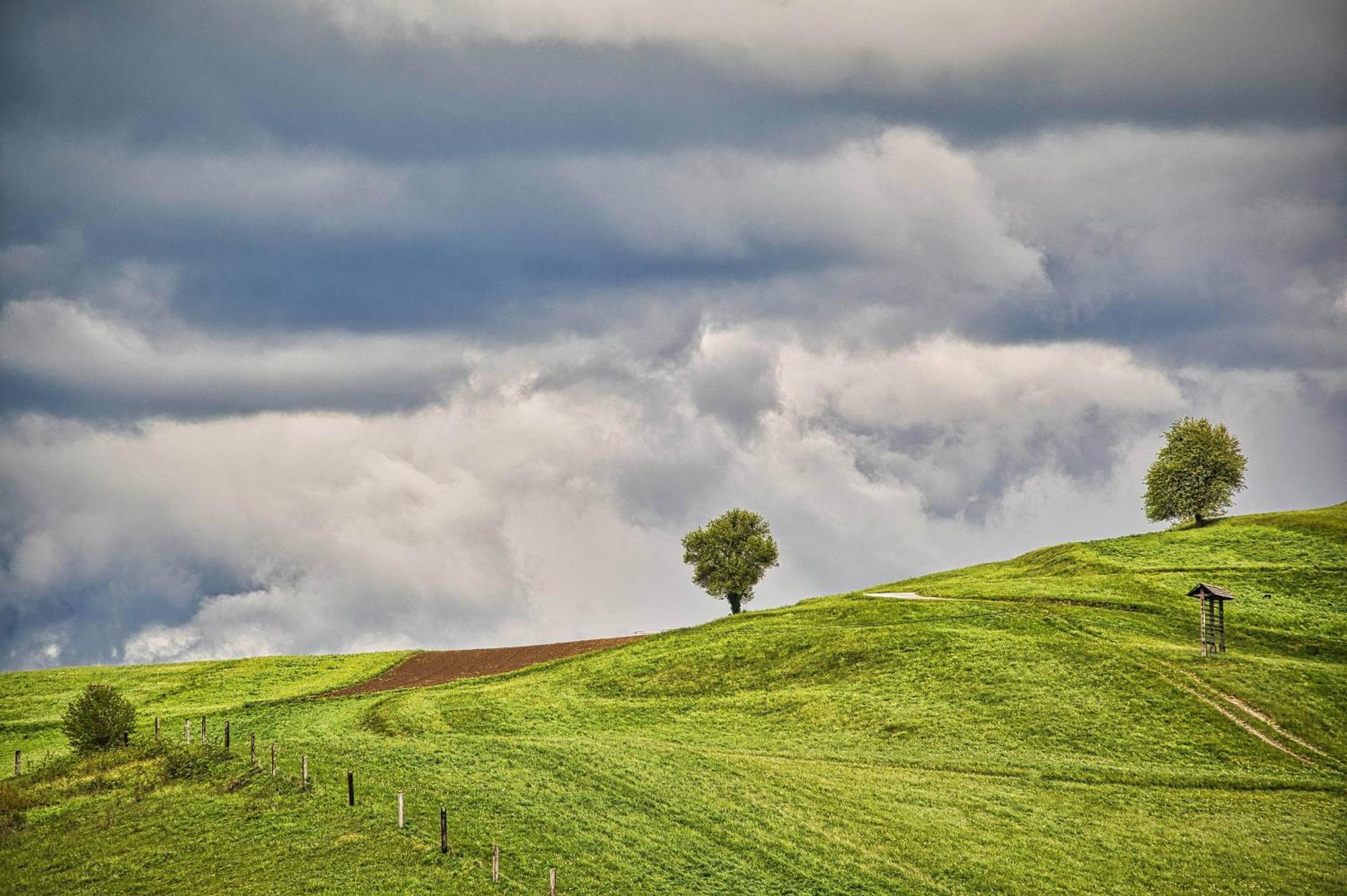 Farm Stay Ana Visnja Gora Esterno foto