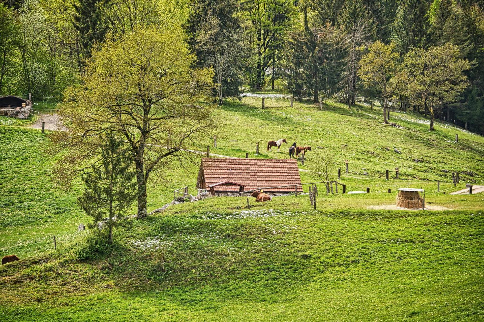 Farm Stay Ana Visnja Gora Esterno foto