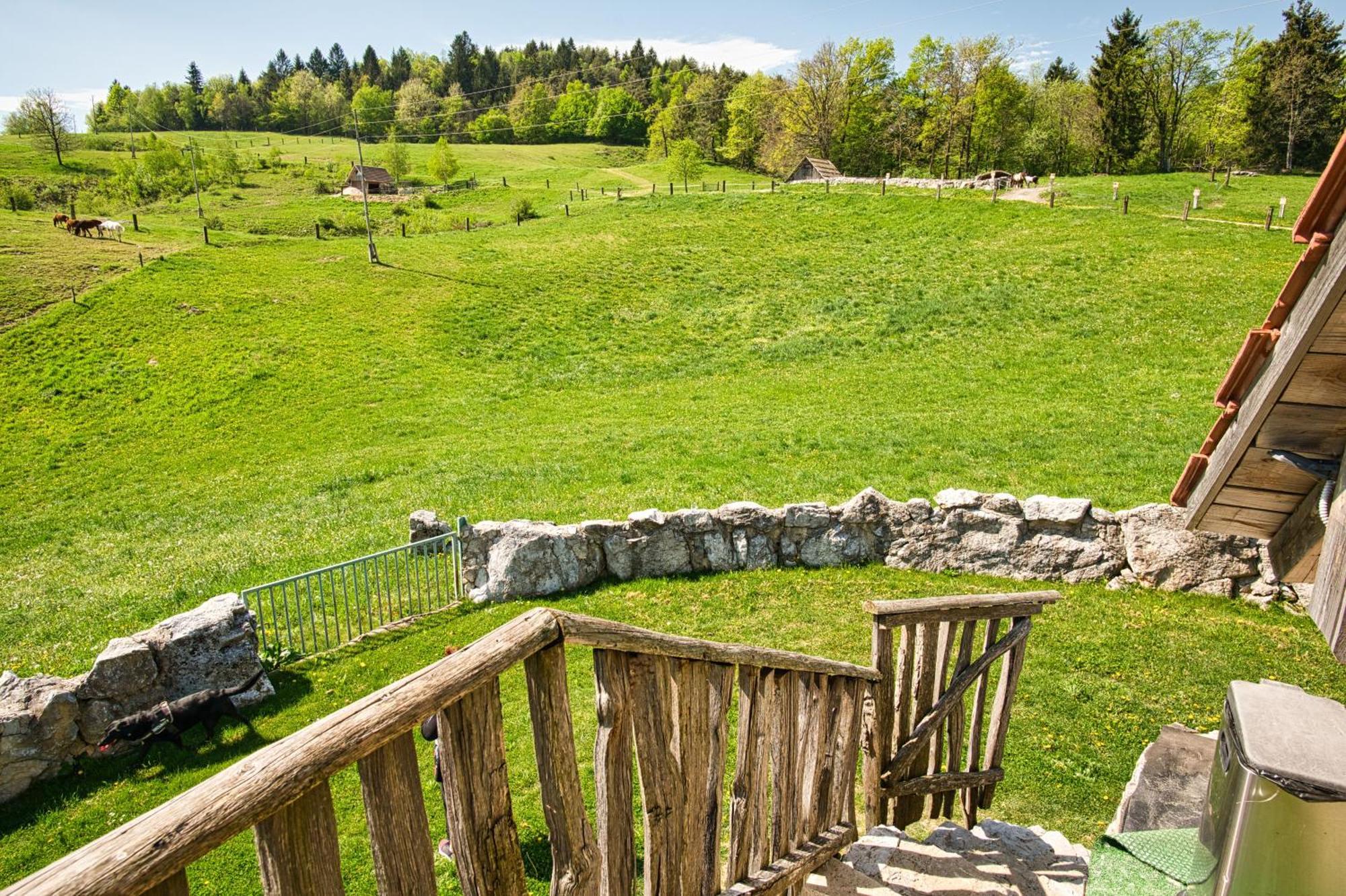 Farm Stay Ana Visnja Gora Esterno foto